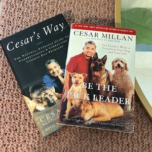Cesar Millan chapter book bundle